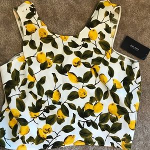 Zara Woman NWT Lemon Citrus Cropped XS Top